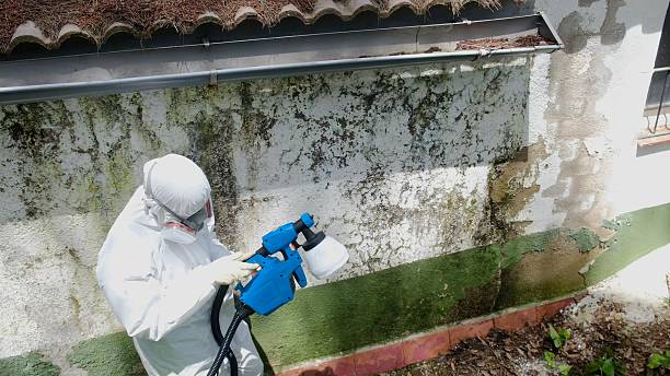 Top rated local Mold Remediation specialists in Wingate, NC